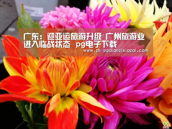 广东:迎亚运旅游升级 广州旅游业进入临战状态-pg电子下载(图2) pg电子下载