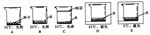 pg电子下载