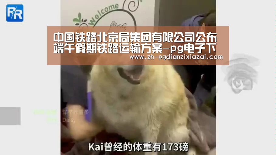 pg电子下载