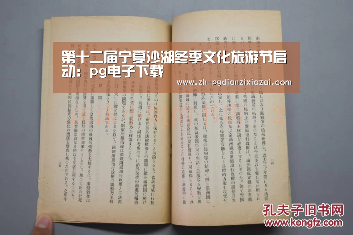 pg电子下载
