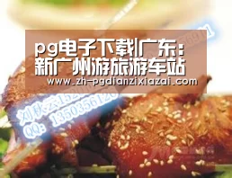 pg电子下载