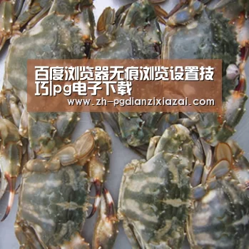 百度浏览器无痕浏览设置技巧|pg电子下载(图1) pg电子下载