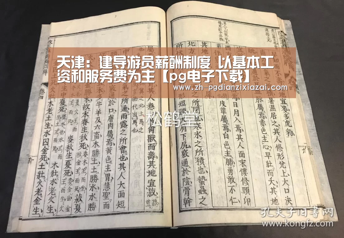pg电子下载
