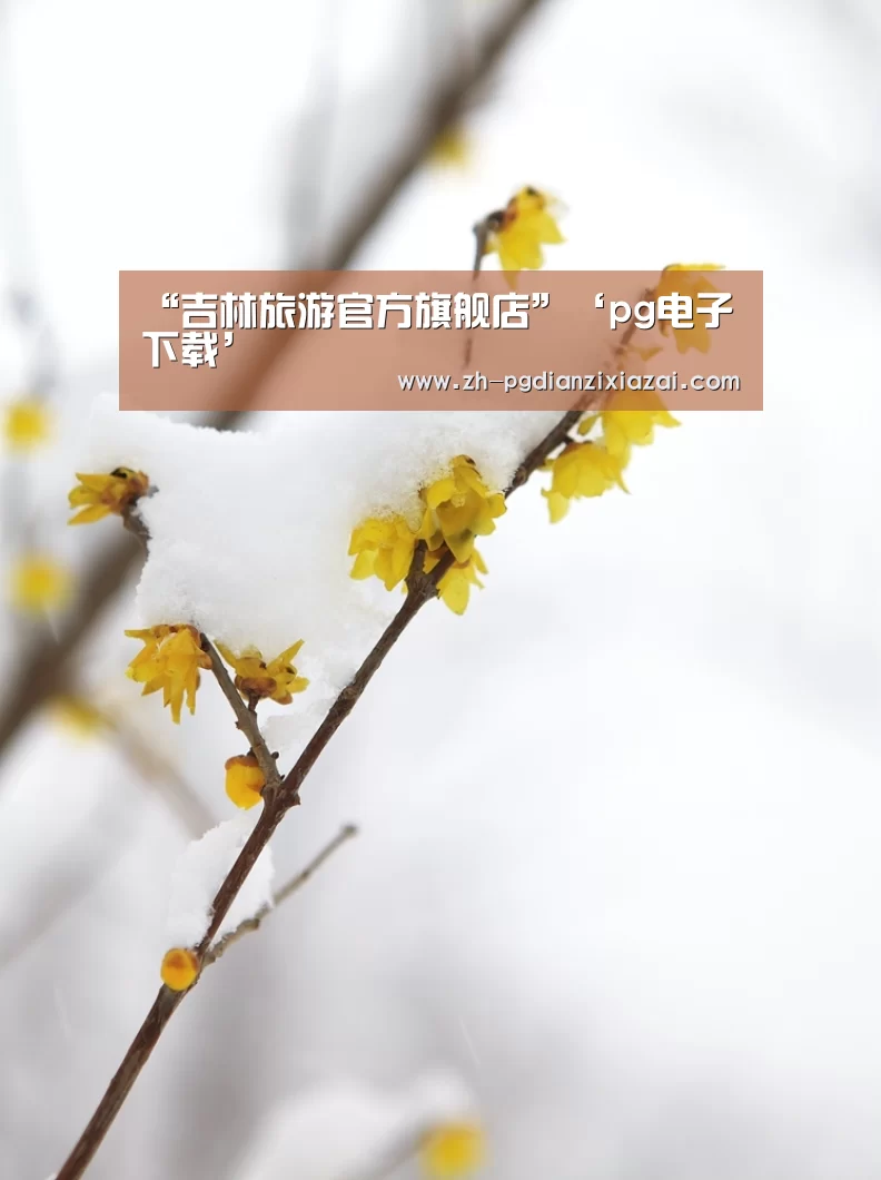 “吉林旅游官方旗舰店”‘pg电子下载’(图2) pg电子下载