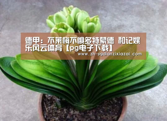 德甲:不莱梅不惧多特蒙德 和记娱乐风云体育【pg电子下载】(图3) pg电子下载