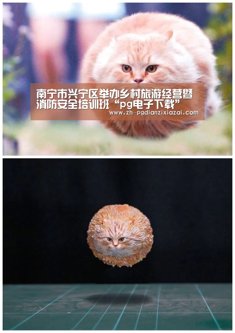 南宁市兴宁区举办乡村旅游经营暨消防安全培训班“pg电子下载”(图1) pg电子下载