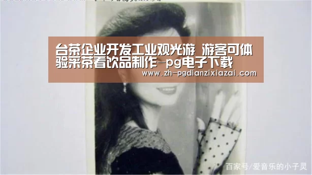 台茶企业开发工业观光游 游客可体验采茶看饮品制作-pg电子下载(图1) pg电子下载