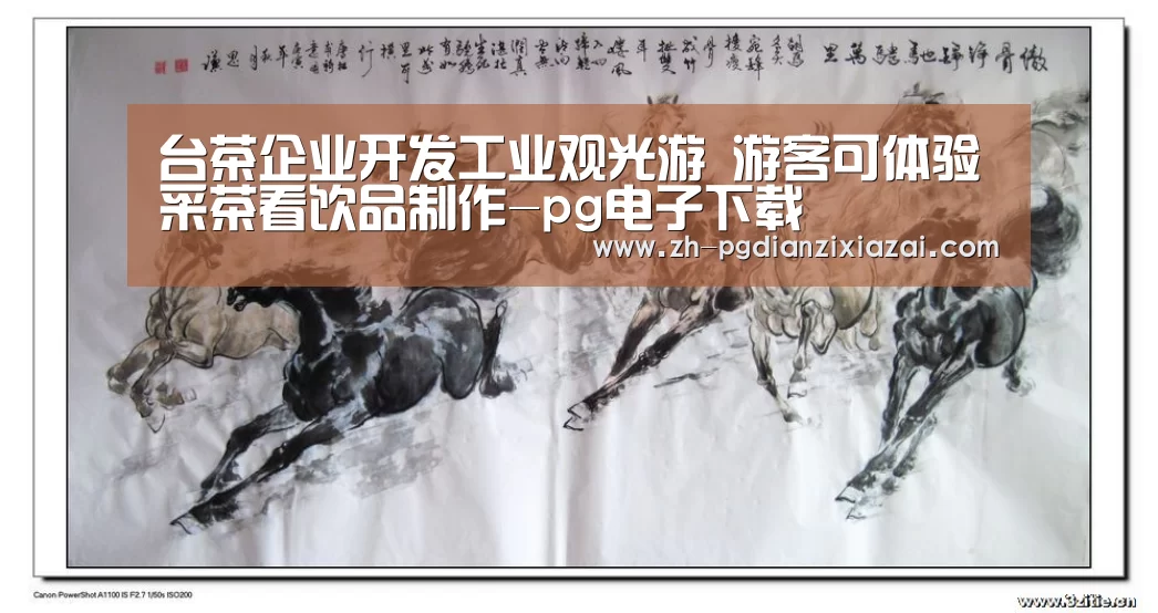 台茶企业开发工业观光游 游客可体验采茶看饮品制作-pg电子下载(图2) pg电子下载