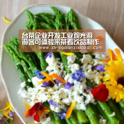 台茶企业开发工业观光游 游客可体验采茶看饮品制作-pg电子下载(图3) pg电子下载