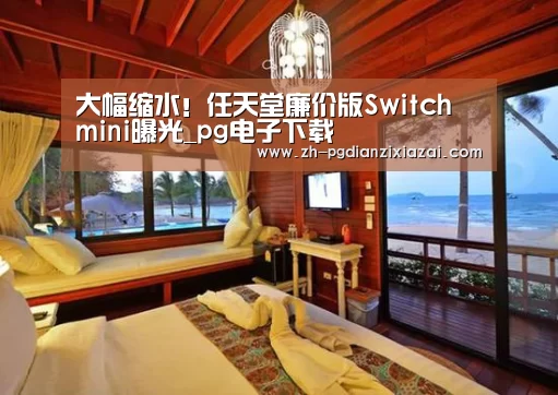 pg电子下载